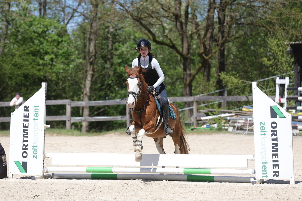 0P6A8801 | Willkommen bei Brunnmayr - Design & Fotografie – Ihrem Spezialisten für Reitturniere und Pferdeveranstaltungen in Oberösterreich, Salzburg und Bayern! Seit über 17 Jahren sind wir leidenschaftlich dabei.