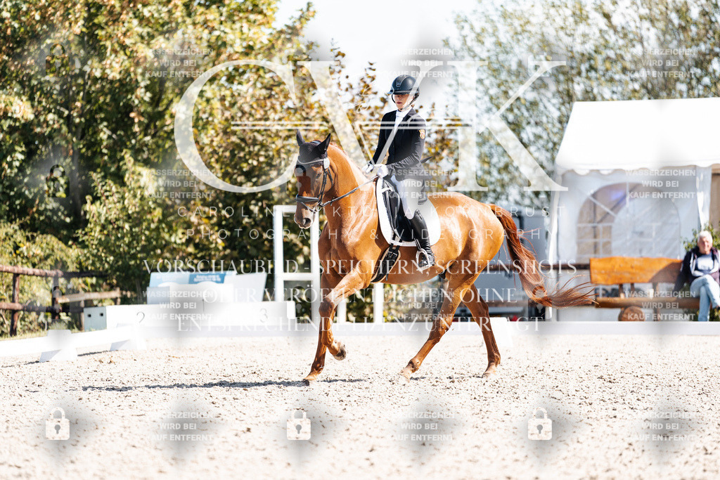 CK902854 | Turnierfotografie Pferdefotografie Trier Rheinland-Pfalz Pferdesport Reitsport Tierfotografie Sportfotografie Pferdevideo Pferdevideografie Equestrianvideography equestrianphotography  - Realisiert mit Pictrs.com