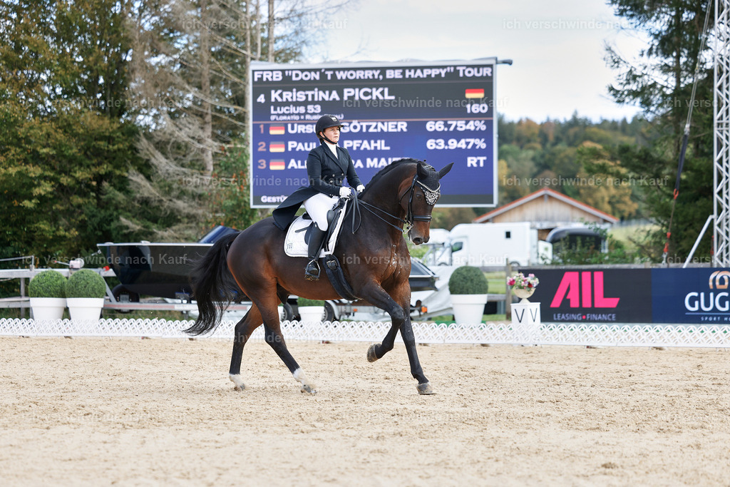 6-160-AMATUER-DRESSUR S_  -StoibPH-3459 | working equitationturnier fotograf videograf stoibphotography marixx film working equitation deutschland reitsport turnierfotografie eventfotografie equestrian events