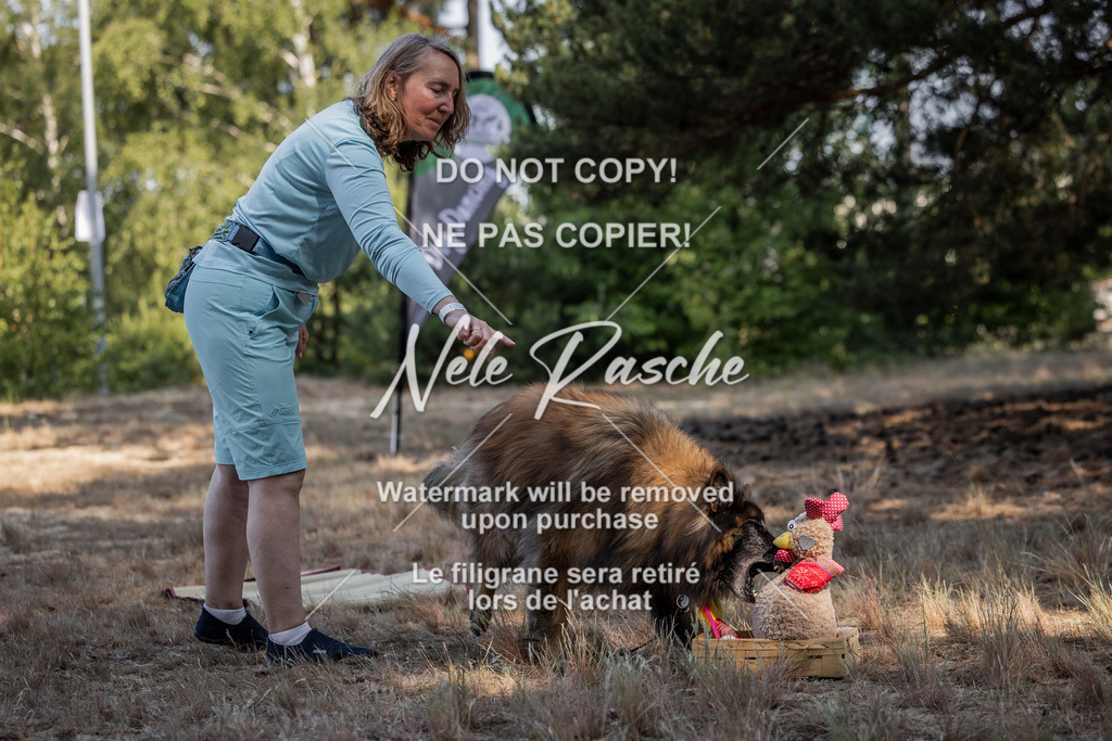 nelerasche_soDD1_08 | nelerasche