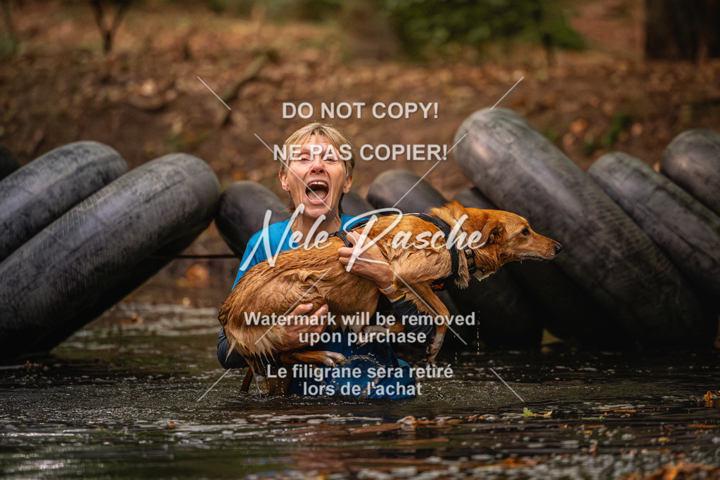 nelerasche_SaWingst0845-1000_16 | nelerasche