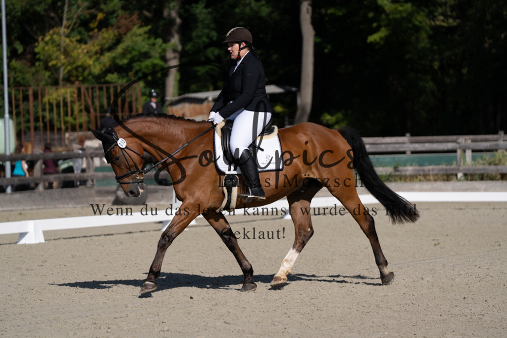 A7V06903 | Turnier/Reitfotograf