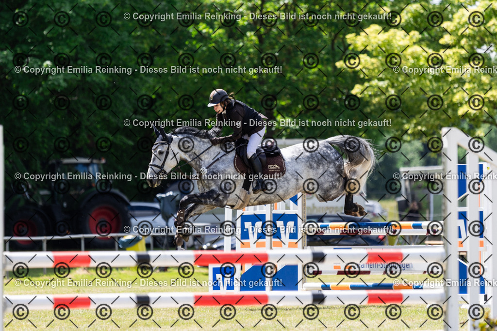 CL5A6140 | Emilia Reinking Fotografie - Realisiert mit Pictrs.com