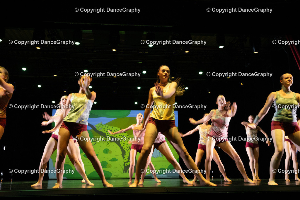 GPHY6365 | DanceGraphy - Realisiert mit Pictrs.com