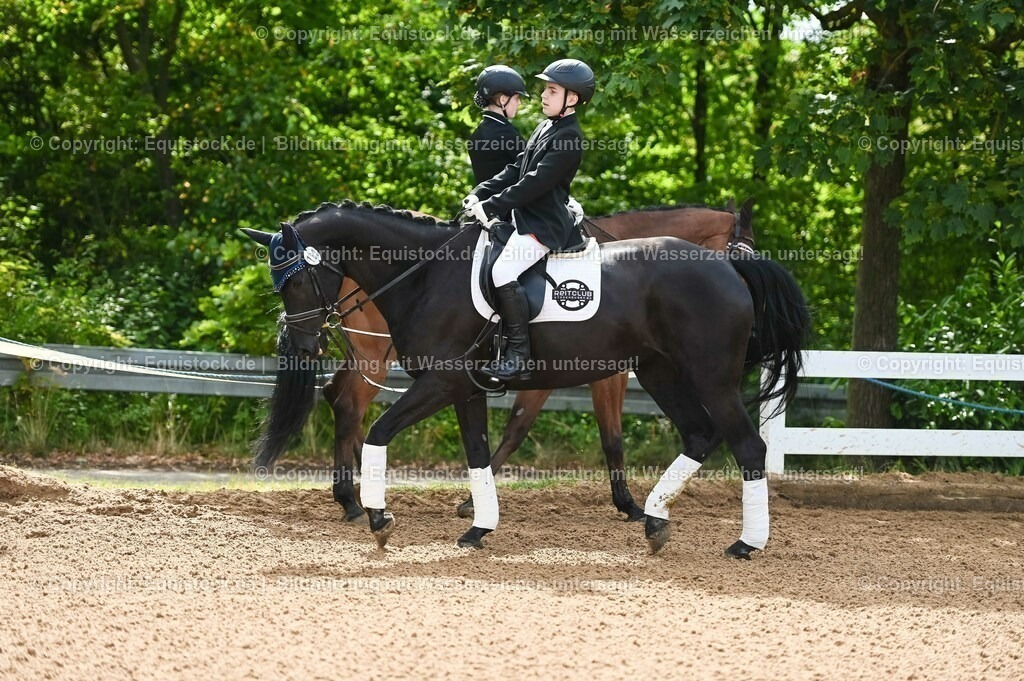 20230716_10-1_Reiter-WB Schritt - Trab - Galopp_0139 | equistock