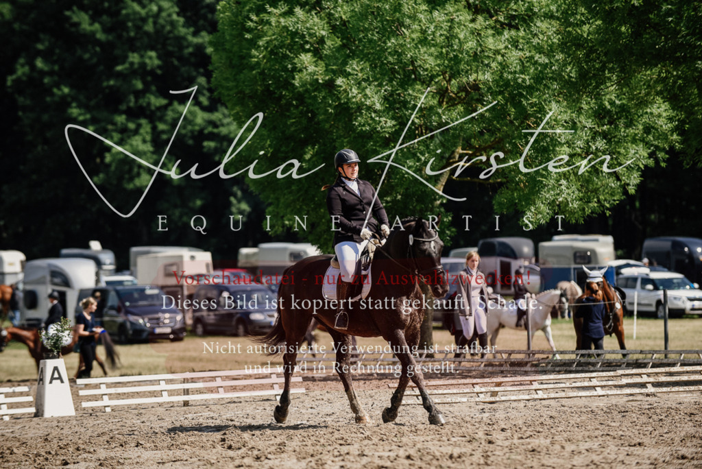 DSC_0181 | Pferde- und Turnierfotografie in Westsachsen. Pferdeportraits, Auftragszeichnungen und intuitive Kunst.