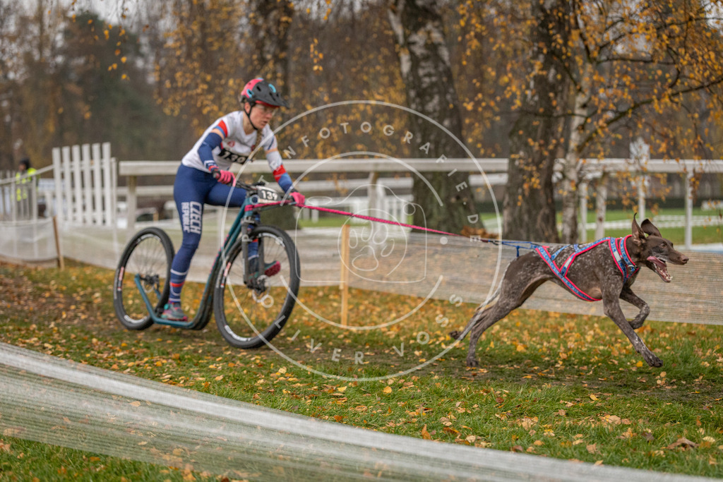 CaniXpix_DV3A7923 | Hundefotografie, Tierfotograf, Pfotenfotografie, Fotoshooting Hund, Hunde Portrait, Hundesport, Hundeportraits, Heideshooting, Hunde, Sportfotograf, Hundefotograf, Turnierhundsport, THS,  - Realisiert mit Pictrs.com