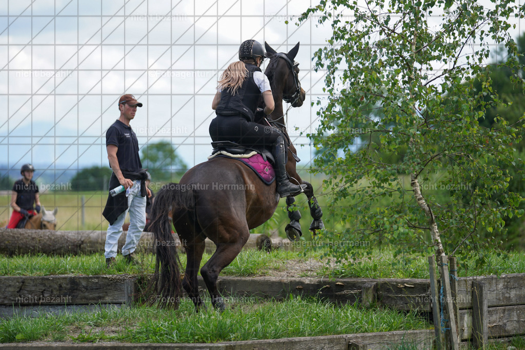 20240622-FAH07375 | Turnierfotografen Bayern, Reitsportbilder aus dem Geländekurs mit Felix Etzel auf dem Gut Waitzacker 2024