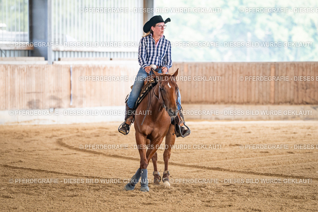 DSC04318 | Pferdegrafie