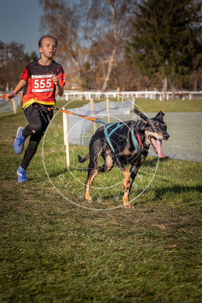 CaniXpix_0L8A7763 | Hundefotografie, Tierfotograf, Pfotenfotografie, Fotoshooting Hund, Hunde Portrait, Hundesport, Hundeportraits, Heideshooting, Hunde, Sportfotograf, Hundefotograf, Turnierhundsport, THS,  - Realisiert mit Pictrs.com