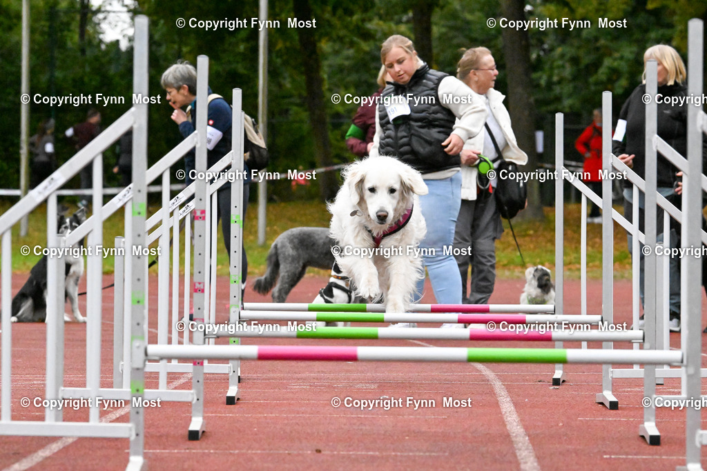 DSC_7634 | Hallo und herzlich Willkommen auf meiner Shop-Seite Fynn Most.

Ich wünsche Dir viel Spaß beim stöbern durch die Bilder, wenn Du Fragen hast oder Bilder vermisst, kannst du mir gerne eine Nachricht schreiben. - Realisiert mit Pictrs.com