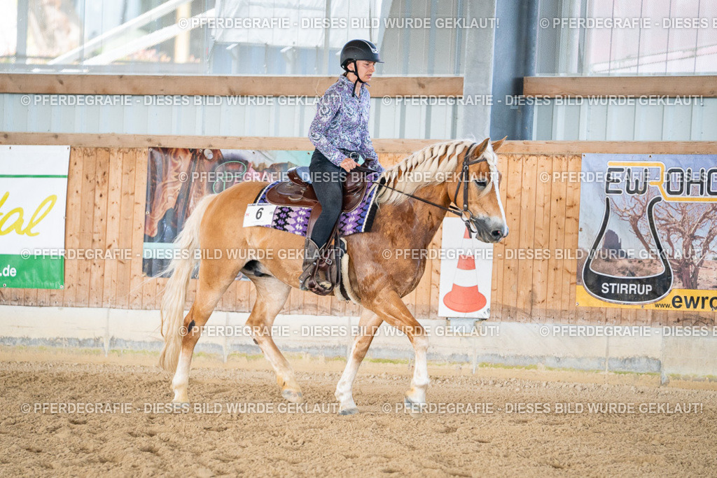 DSC02482 | Pferdegrafie