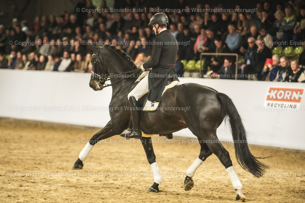 20240302_Hengstvorstellung_Marbach_TOMsPiC_1493-2 | equistock