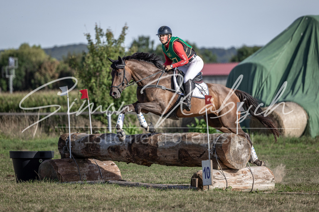 20250907-_3LI3796 | Tierfotografie Pferde, Hunde, Katzen, Haustiere.
Turnierfotografie Reitturniere, Reiten, Springreiten, Dressur in Hanau, dem Main-Kinzig-Kreis und dem Rhein-Main- Gebiet um Frankfurt
