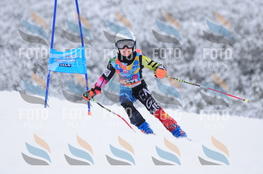 C3061 | holidayphoto