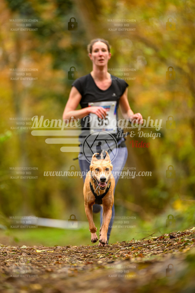 MompixPhotography_Bischwiller24_SA_Canicross-148 | PayLife