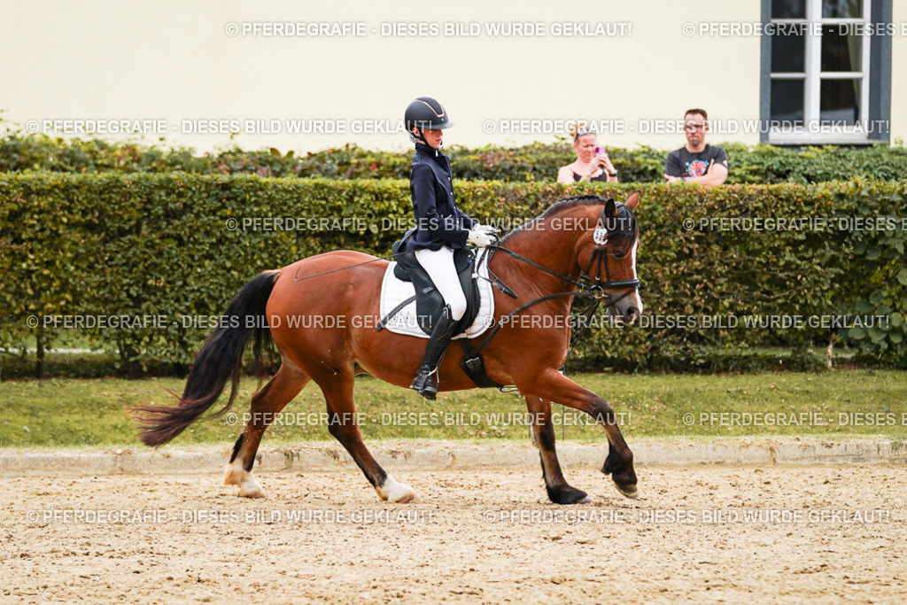 DSC00215 | Pferdegrafie