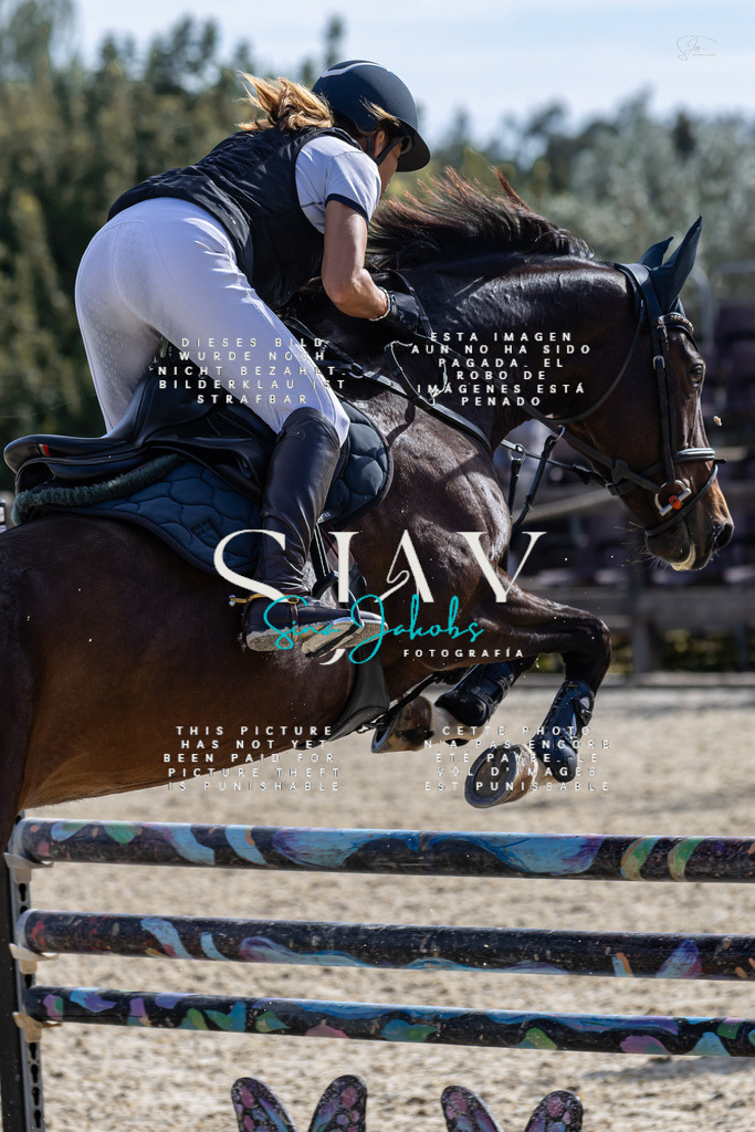 IMG_0593 | s-jay-photography - Realisiert mit Pictrs.com