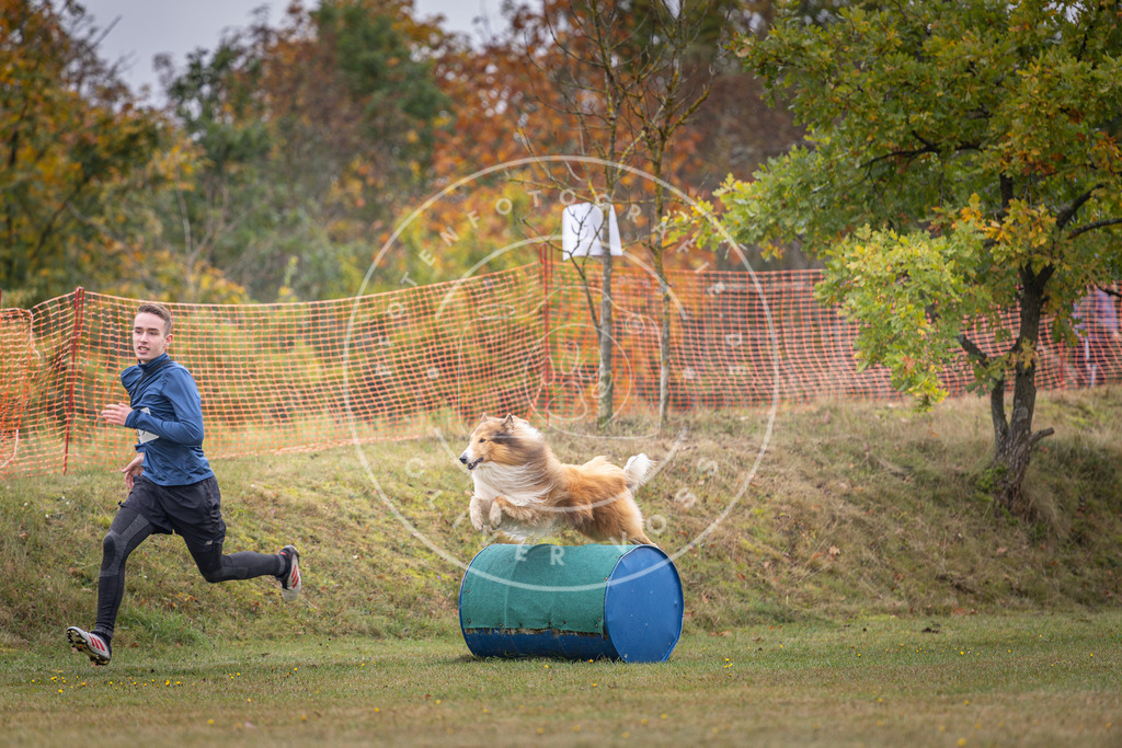 Pfotenfotografie_DV3A1475 | Hundefotografie, Tierfotograf, Pfotenfotografie, Fotoshooting Hund, Hunde Portrait, Hundesport, Hundeportraits, Heideshooting, Hunde, Sportfotograf, Hundefotograf, Turnierhundsport, THS,  - Realisiert mit Pictrs.com