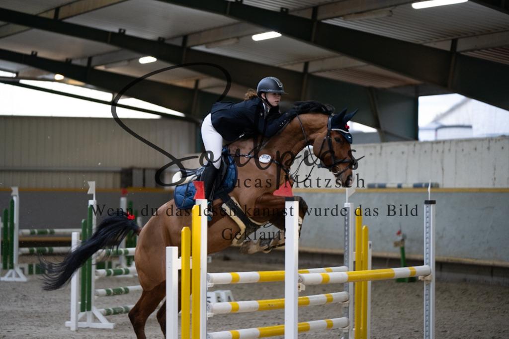 A7V02756 | Pferdefotograf