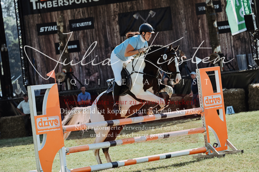 DSC_5475 | Pferde- und Turnierfotografie in Westsachsen. Pferdeportraits, Auftragszeichnungen und intuitive Kunst.