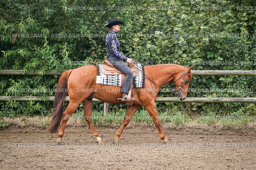 DSC01938 | Pferdegrafie