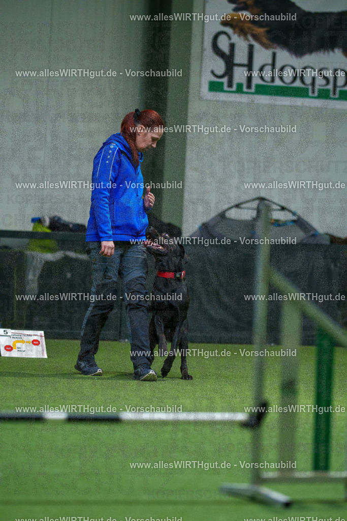 7R504129 | Professionelle Tierfotografie in Mönchengladbach von Daniel Wirth (allesWIRTHgut). Liebevolle & natürliche Bilder von Hunden & Katzen für unvergessliche Erinnerungen.