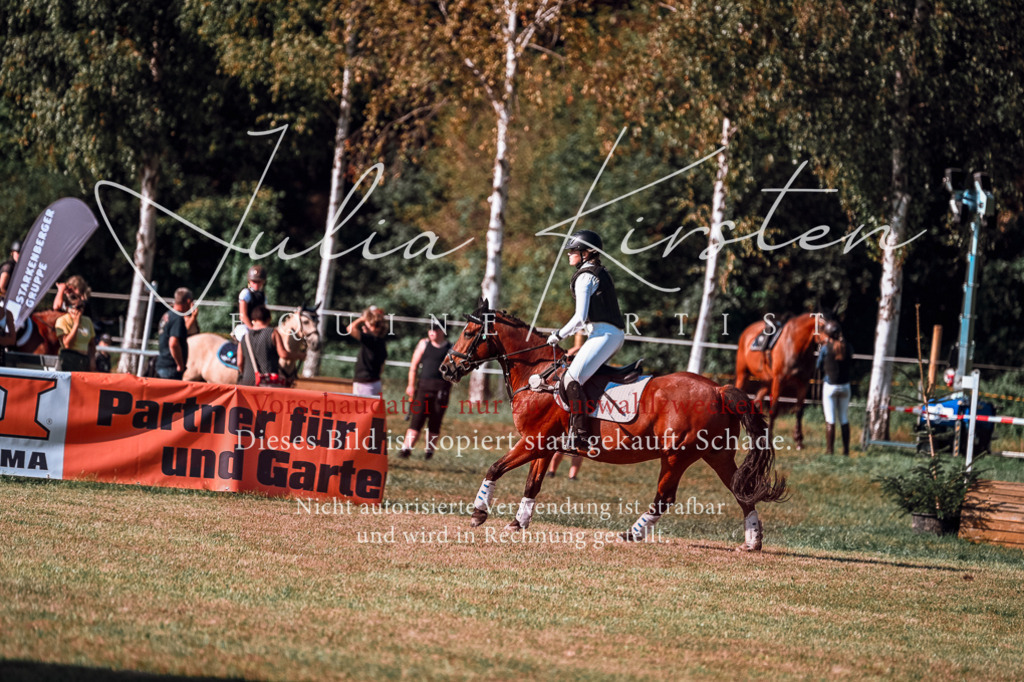 DSC_0606 | Pferde- und Turnierfotografie in Westsachsen. Pferdeportraits, Auftragszeichnungen und intuitive Kunst.