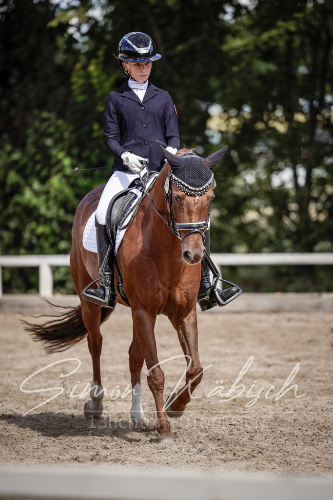 20250906-_3LI5476 | Tierfotografie Pferde, Hunde, Katzen, Haustiere.
Turnierfotografie Reitturniere, Reiten, Springreiten, Dressur in Hanau, dem Main-Kinzig-Kreis und dem Rhein-Main- Gebiet um Frankfurt