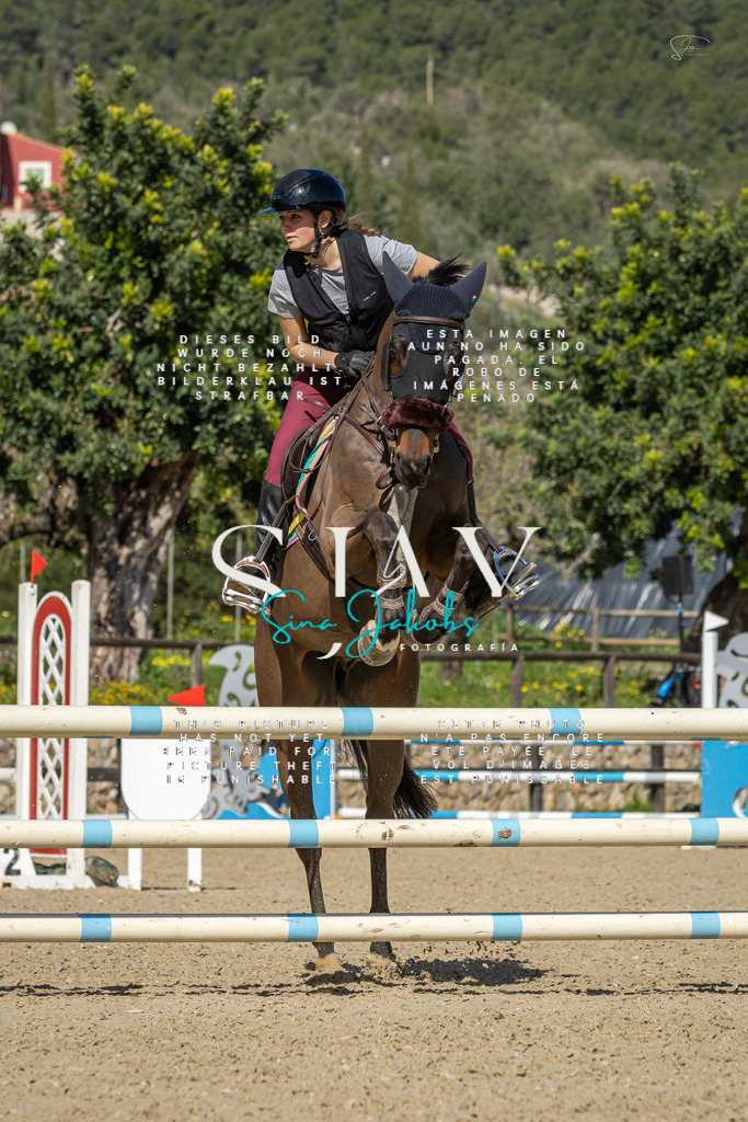 IMG_6570 | s-jay-photography - Realisiert mit Pictrs.com