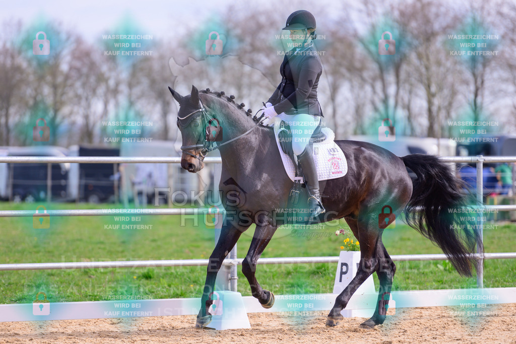 09042026-Mammendorf-Prfg01-0051 | Fokus Hufschlag Fotografie - Realisiert mit Pictrs.com