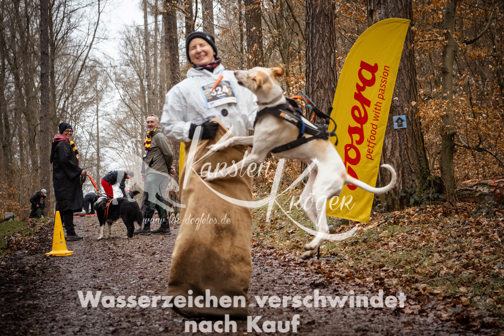 1158_ZZ93206 | kk-dogfotos