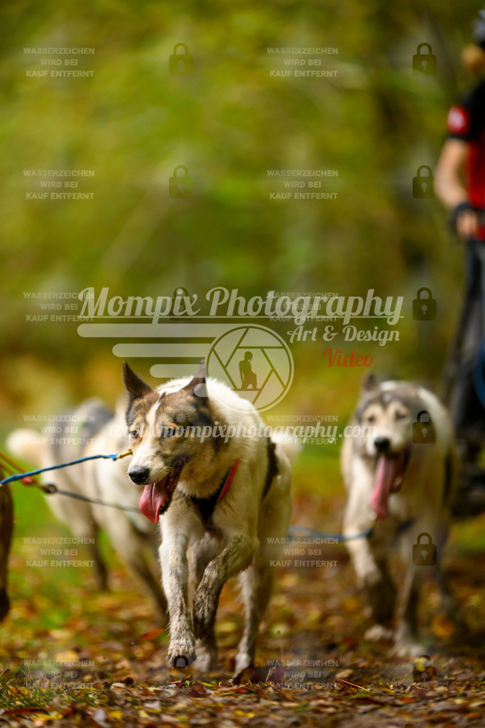MompixPhotography_20TSB_E1_Doppel-46 | PayLife