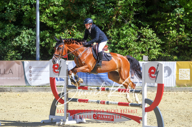 DKP43129 | Turniersportfotografie; Pferdefotografie; Dressurfotografie