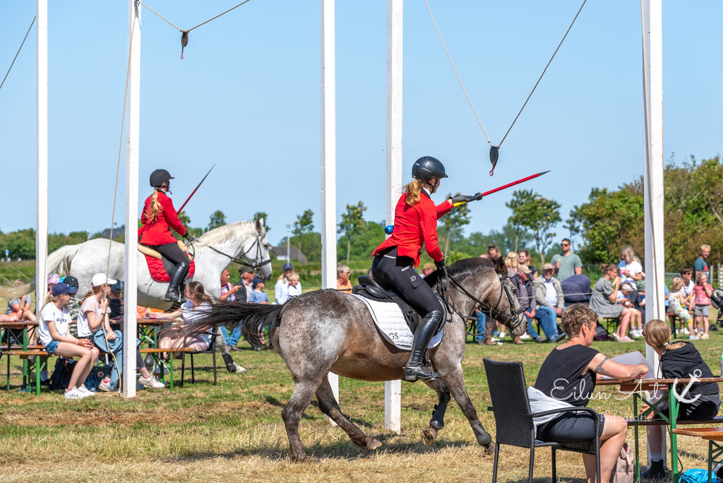 EAF_3001 | Eilun-Art-Fotografie Levke Martens, ihre Fotografin für Immobilien- und Landschaftsfotografie auf Föhr, Föhrer Motive als Poster, Leinwand, hinter Acrylglas oder stelle dir deinen eigenen Monatskalender zusammen, mit nur einem Klick