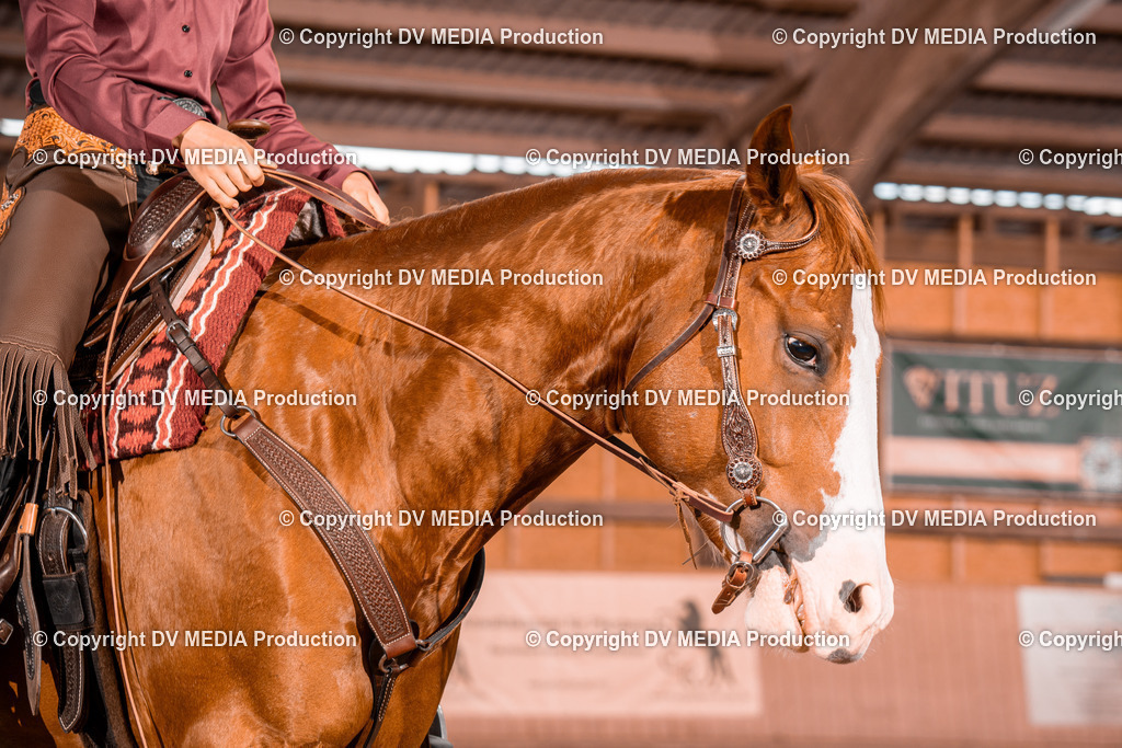 NE200734 | dv-media-shop - Realisiert mit Pictrs.com