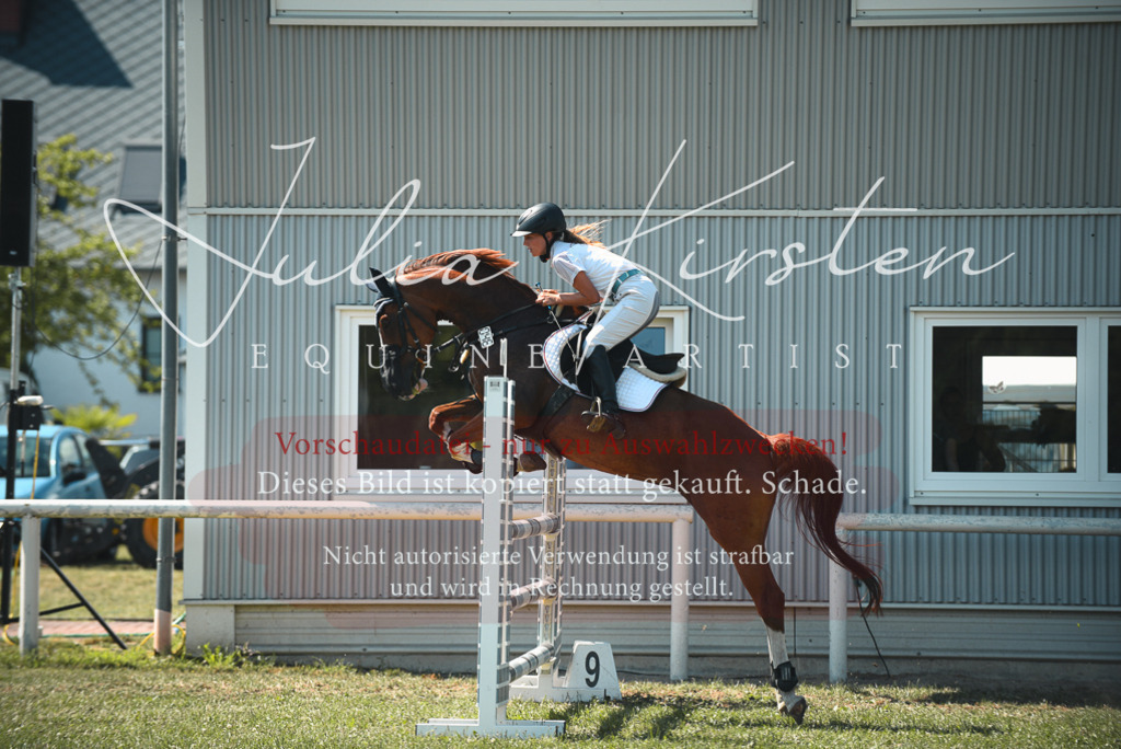 DSC_6878 | Pferde- und Turnierfotografie in Westsachsen. Pferdeportraits, Auftragszeichnungen und intuitive Kunst.