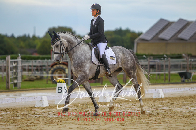 DKP43655 | Turniersportfotografie; Pferdefotografie; Dressurfotografie