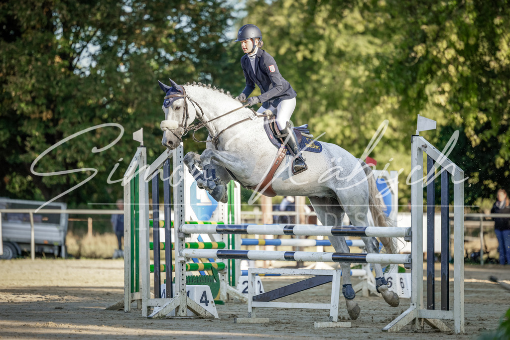20250906-_3LI2950 | Tierfotografie Pferde, Hunde, Katzen, Haustiere.
Turnierfotografie Reitturniere, Reiten, Springreiten, Dressur in Hanau, dem Main-Kinzig-Kreis und dem Rhein-Main- Gebiet um Frankfurt