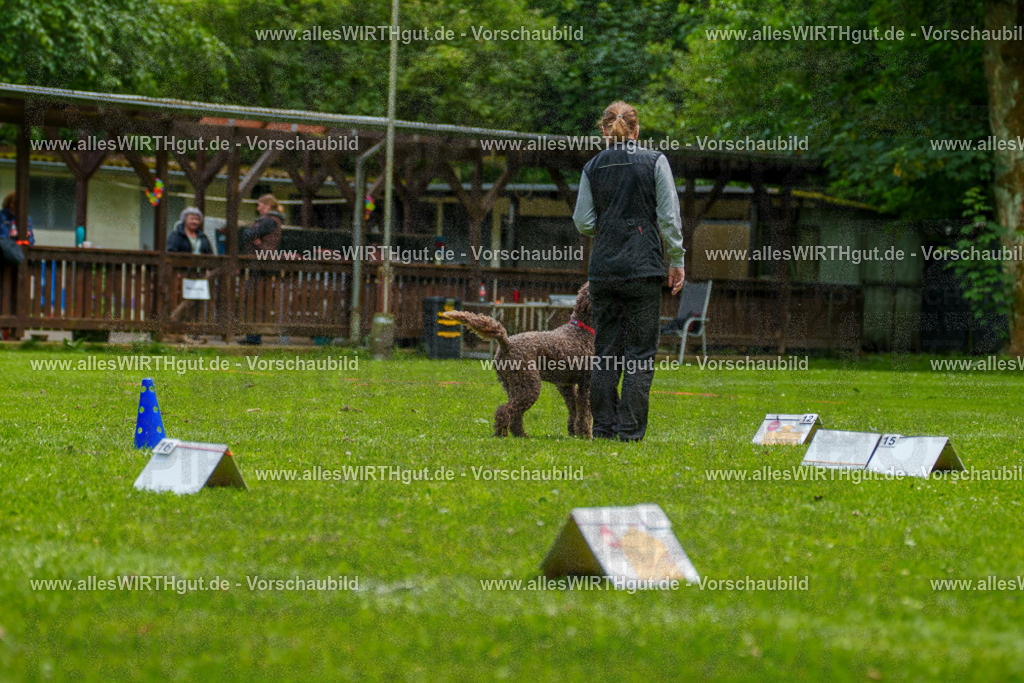 @allesWIRTHgut_Tierfotografie - www.allesWIRTHgut.de - 7R501124 | Professionelle Tierfotografie in Mönchengladbach von Daniel Wirth (allesWIRTHgut). Liebevolle & natürliche Bilder von Hunden & Katzen für unvergessliche Erinnerungen.