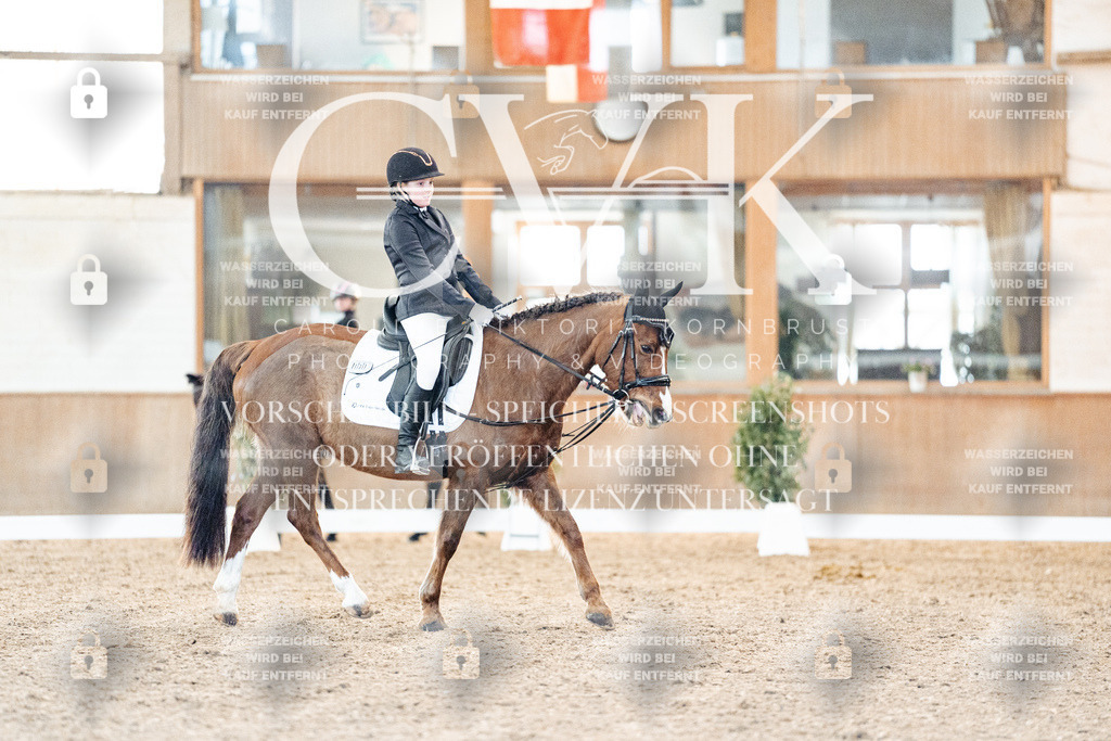 CK907093 | Turnierfotografie Pferdefotografie Trier Rheinland-Pfalz Pferdesport Reitsport Tierfotografie Sportfotografie Pferdevideo Pferdevideografie Equestrianvideography equestrianphotography  - Realisiert mit Pictrs.com