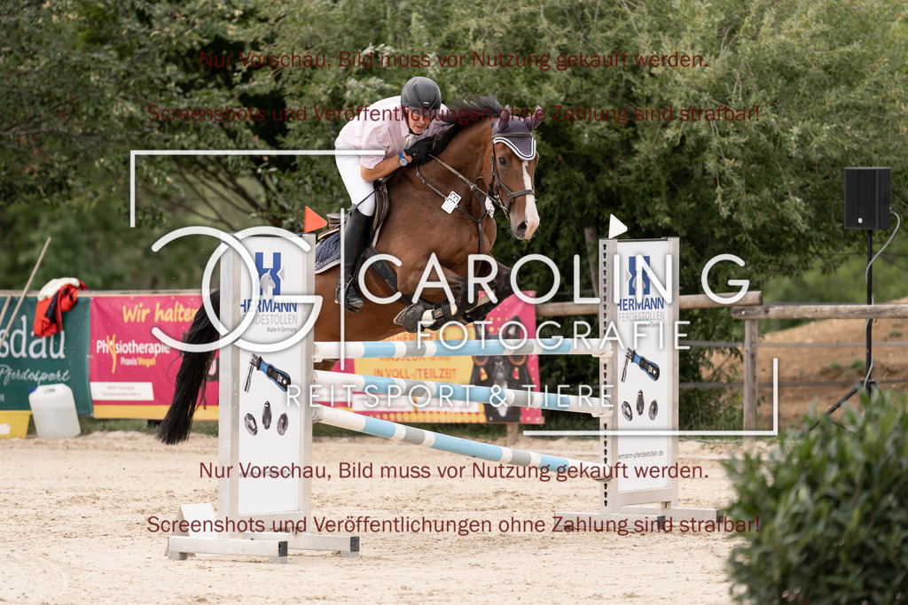 DSC06490 | Springturnier_Teamchallege_Talheim_2026, Andreas_Wittlinger, Charlie_Brown_148