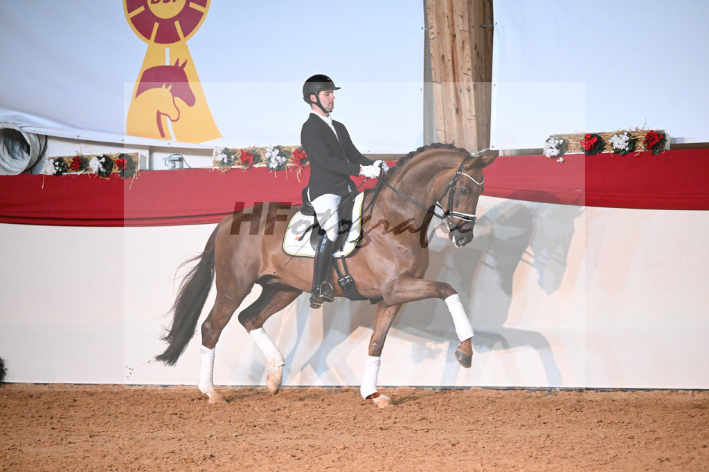 Feliciano_Wadenspanner_1234811 | hf-fotografie - Realisiert mit Pictrs.com