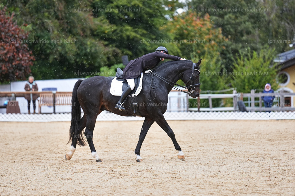 8_1-118-Klasse S_  -Marixx-4238 | working equitationturnier fotograf videograf stoibphotography marixx film working equitation deutschland reitsport turnierfotografie eventfotografie equestrian events