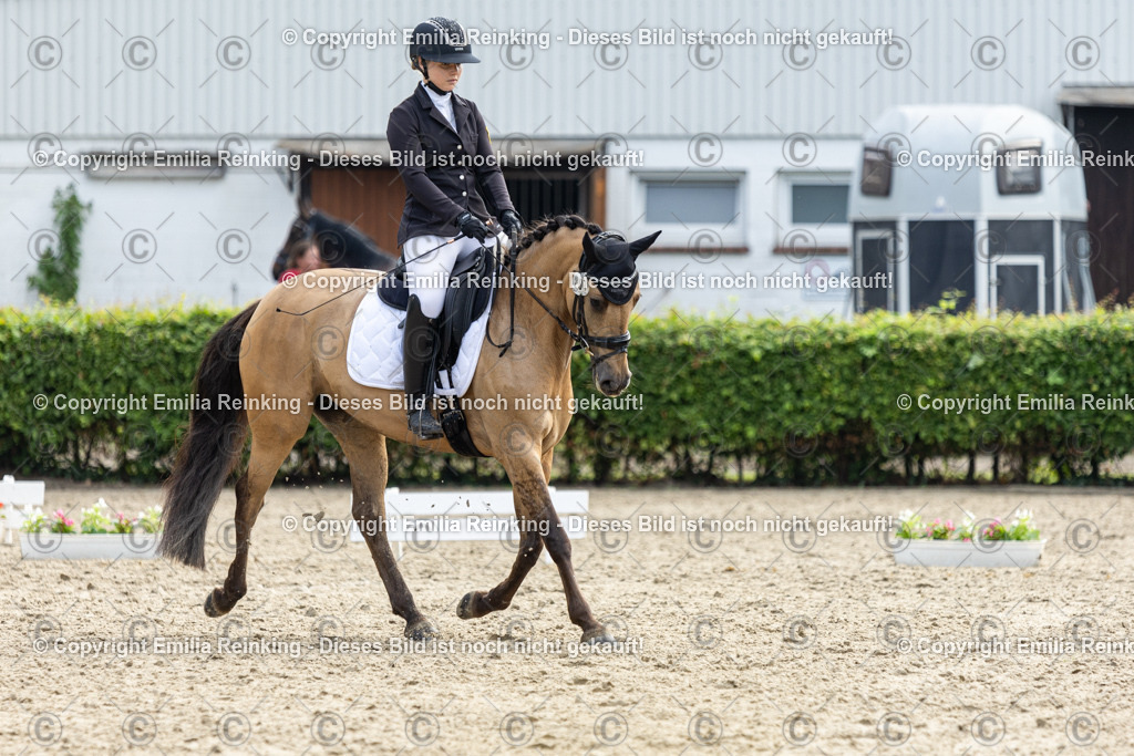 CL5A5193 | Emilia Reinking Fotografie - Realisiert mit Pictrs.com