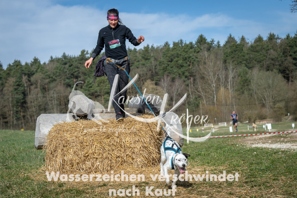 0953_ZZ97032 | kk-dogfotos