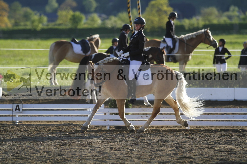 _MG_4431 | equestrian-live-com