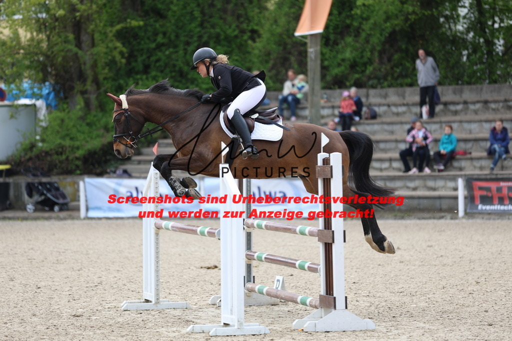 A40A2311 | lmwpictures - Realisiert mit Pictrs.com