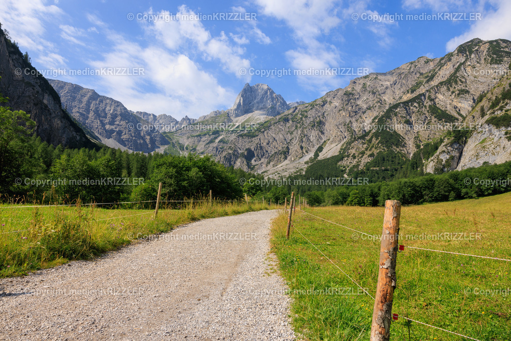 _J3A8154 | medienkrizzler - Realisiert mit Pictrs.com