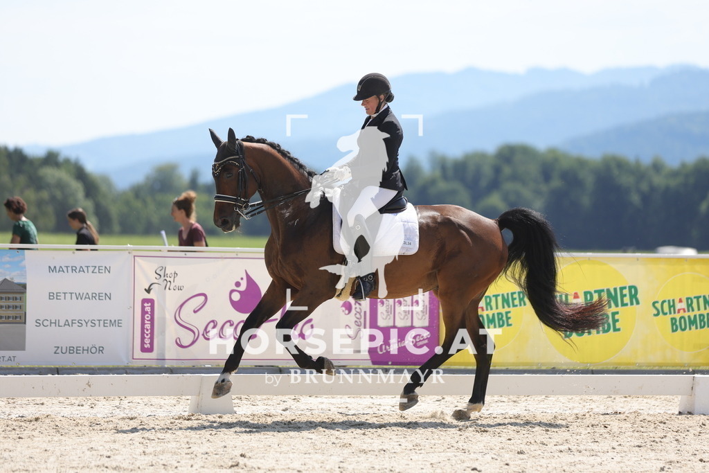 0P6A5268 | Willkommen bei Brunnmayr - Design & Fotografie – Ihrem Spezialisten für Reitturniere und Pferdeveranstaltungen in Oberösterreich, Salzburg und Bayern! Seit über 17 Jahren sind wir leidenschaftlich dabei.